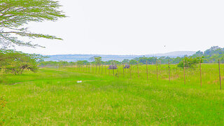 Senate committee assesses human–wildlife conflict prevention around national Parks